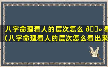 八字命理看人的层次怎么 🌻 看（八字命理看人的层次怎么看出来）